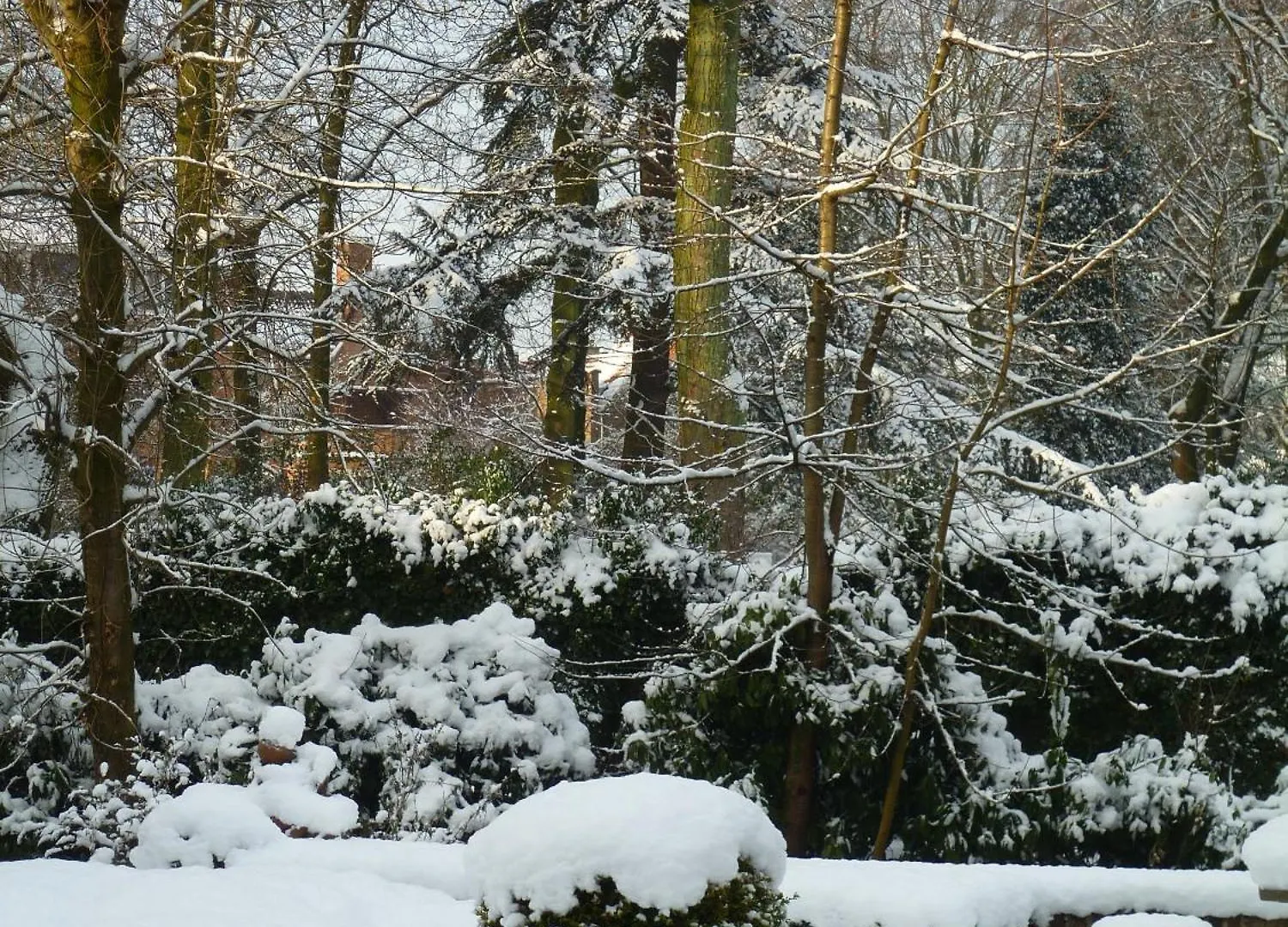 Panzió B&B Speelmansrei Brugge